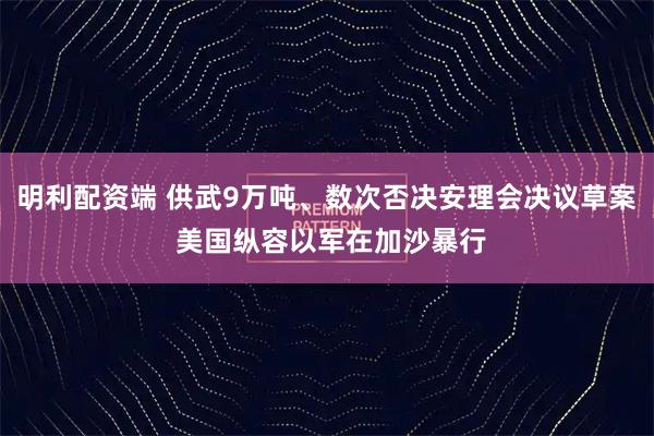 明利配资端 供武9万吨、数次否决安理会决议草案 美国纵容以军在加沙暴行