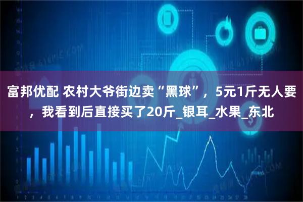 富邦优配 农村大爷街边卖“黑球”，5元1斤无人要，我看到后直接买了20斤_银耳_水果_东北