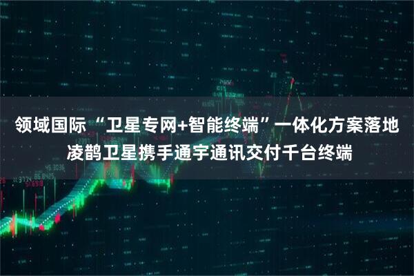 领域国际 “卫星专网+智能终端”一体化方案落地 凌鹊卫星携手通宇通讯交付千台终端
